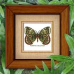 (image for) Butterfly Pattern 807